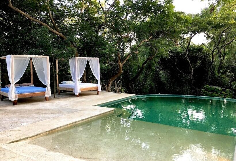 ホテル Driftwood Glamping And Boutique