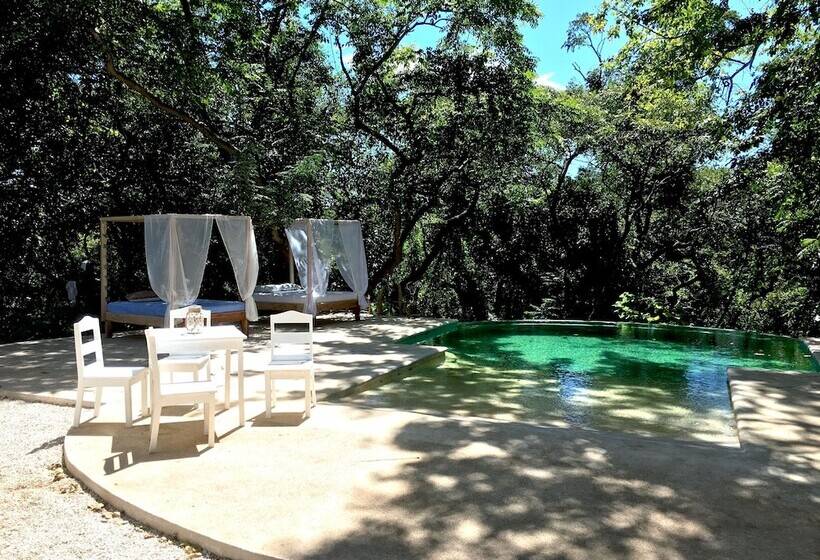 ホテル Driftwood Glamping And Boutique