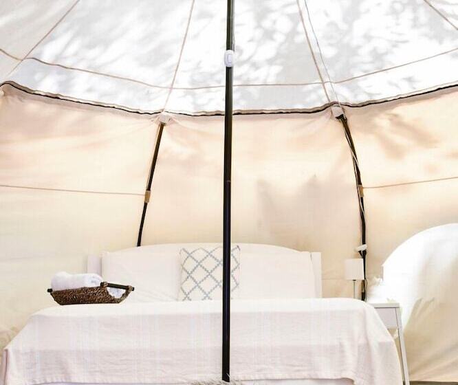 ホテル Driftwood Glamping And Boutique
