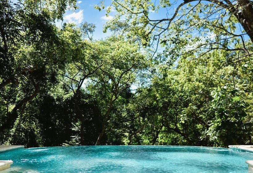 ホテル Driftwood Glamping And Boutique