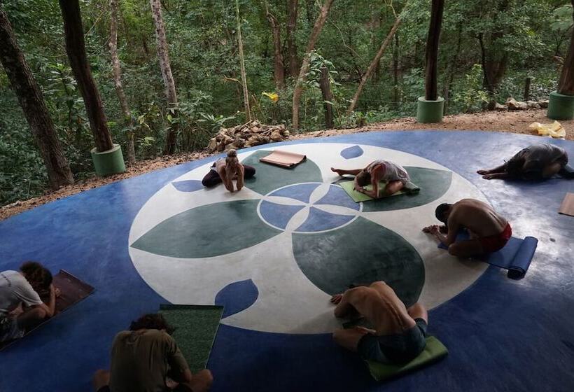 ホテル Driftwood Glamping And Boutique