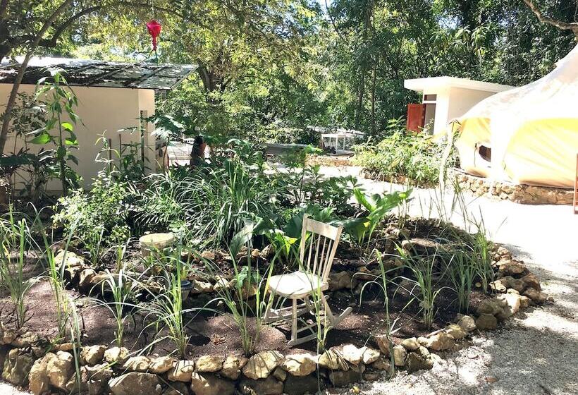 ホテル Driftwood Glamping And Boutique