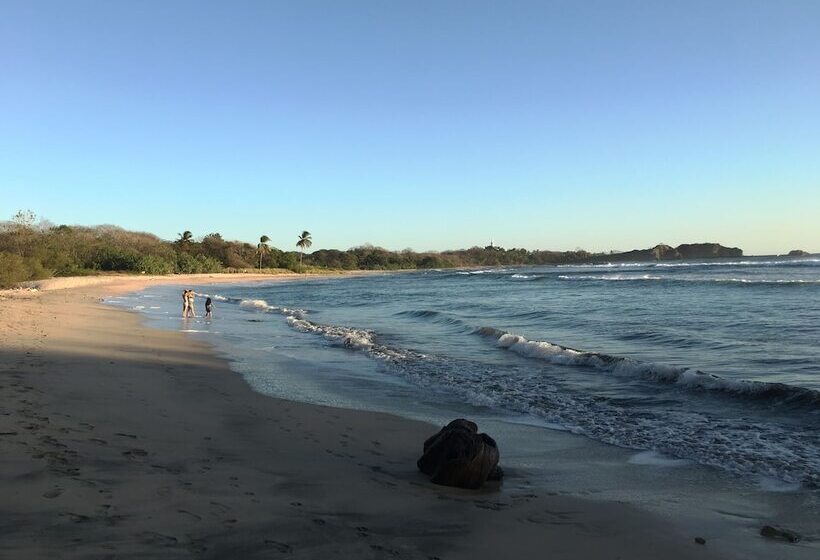 ホテル Driftwood Glamping And Boutique