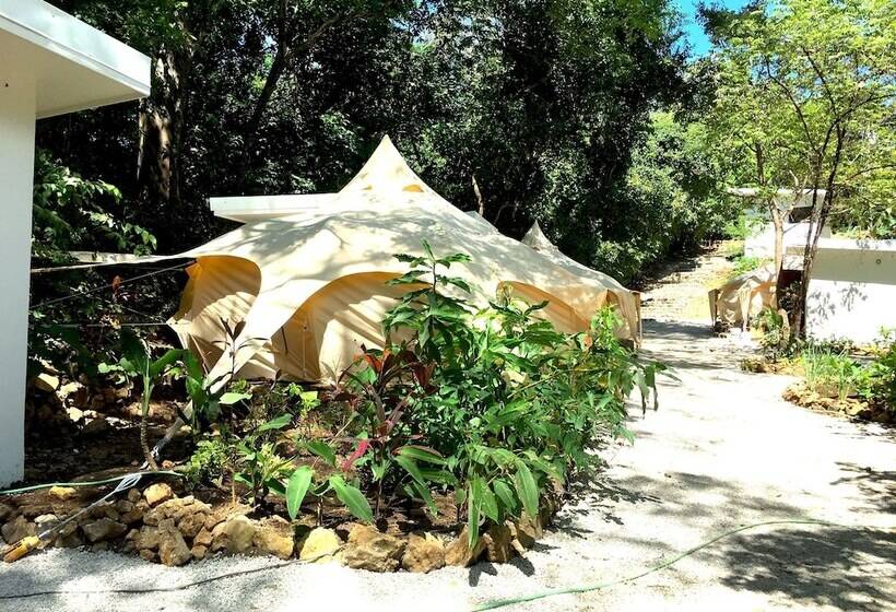 ホテル Driftwood Glamping And Boutique