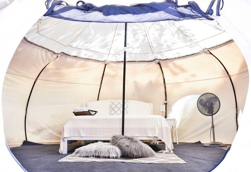 ホテル Driftwood Glamping And Boutique