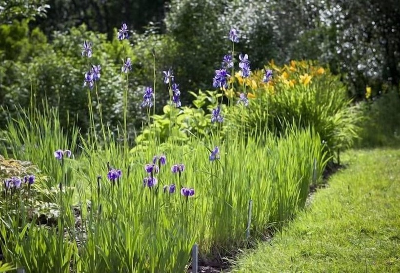 ホテル Enaforsholm Fjällgård