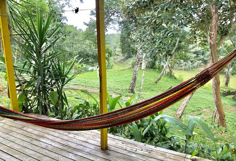 Отель Howler Monkey Resort