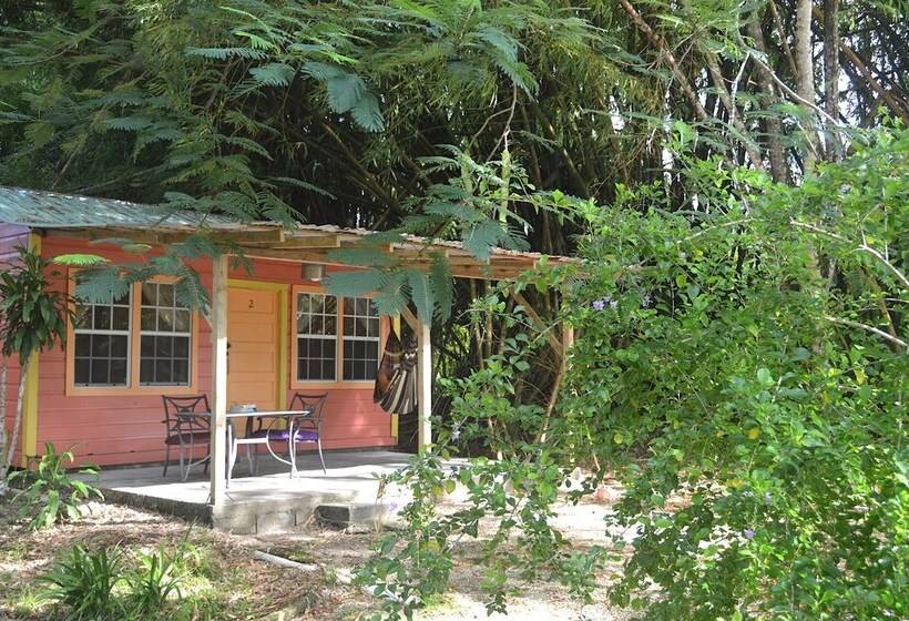 בית מלון כפרי Howler Monkey Resort