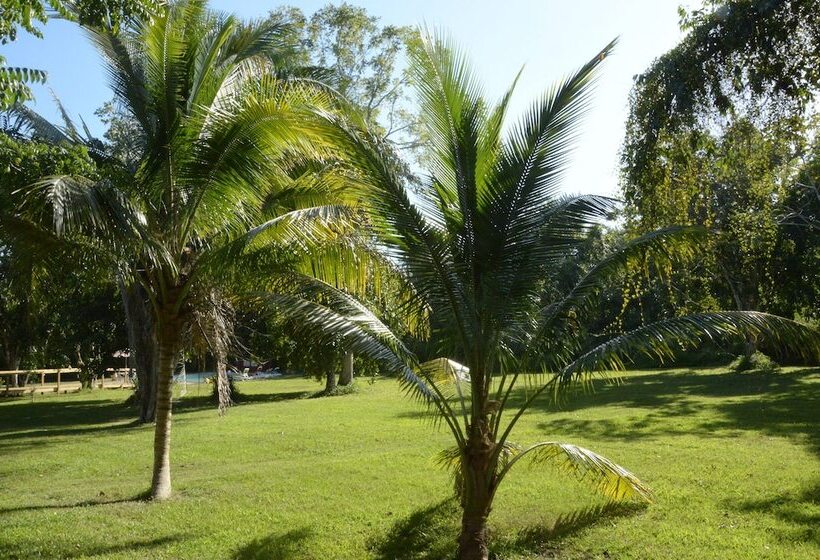 Отель Howler Monkey Resort