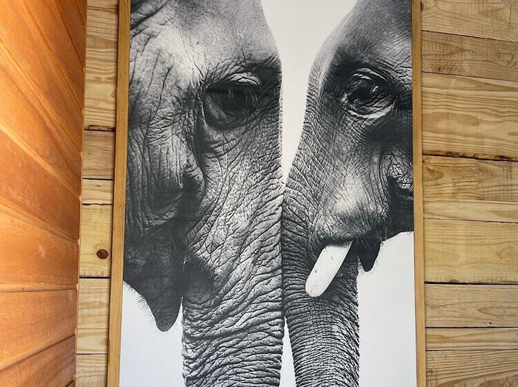 ホテル Isilimela Game Lodge