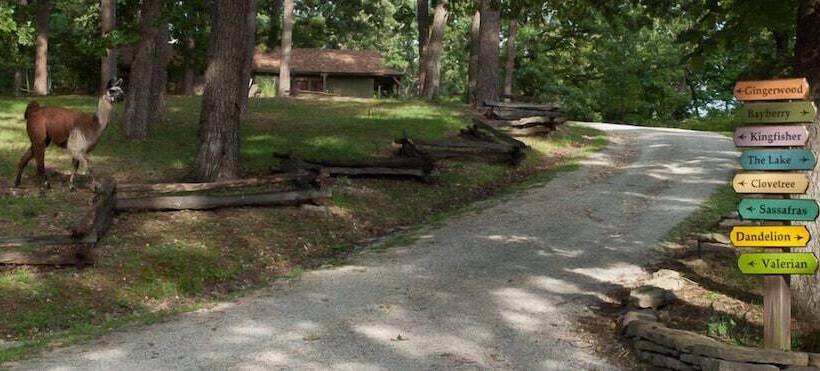 هتل Lake Lucerne Resort & Ranch