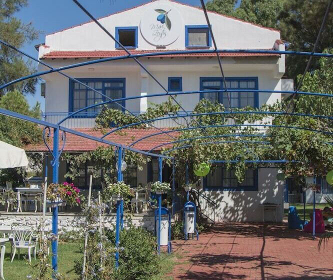 ホテル Mavi Zeytin Butik