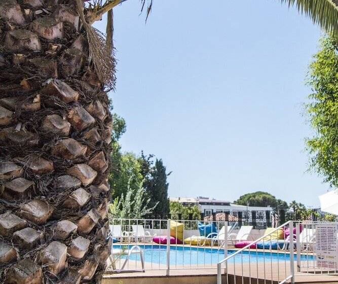 ホテル Mavi Zeytin Butik