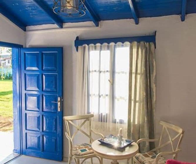 ホテル Mavi Zeytin Butik