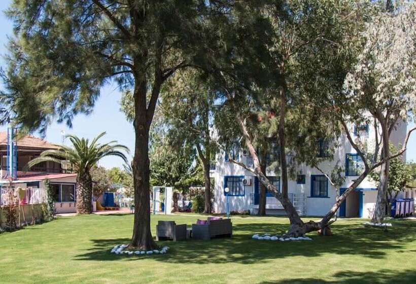 ホテル Mavi Zeytin Butik