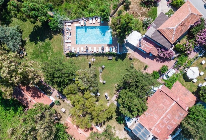 ホテル Mavi Zeytin Butik