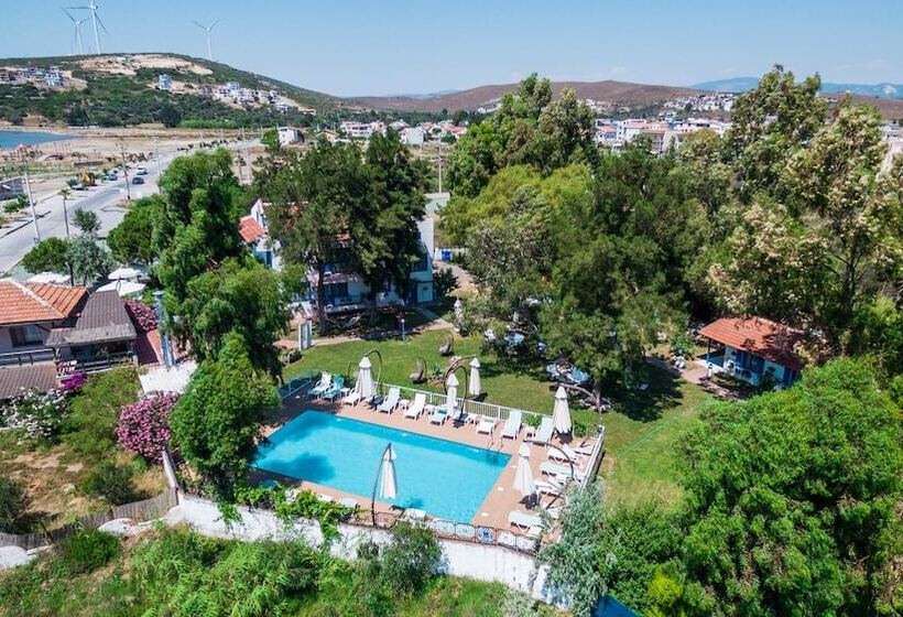 ホテル Mavi Zeytin Butik