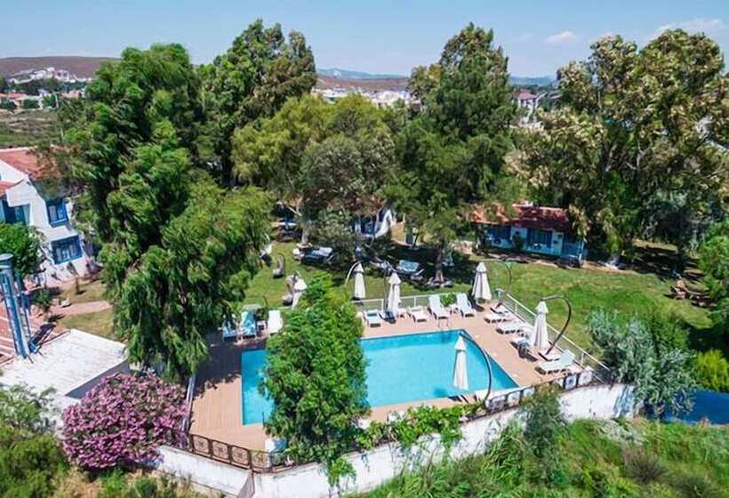 ホテル Mavi Zeytin Butik