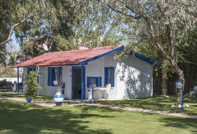 ホテル Mavi Zeytin Butik