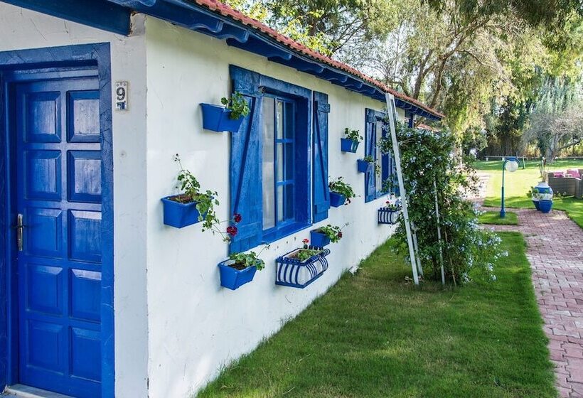 ホテル Mavi Zeytin Butik