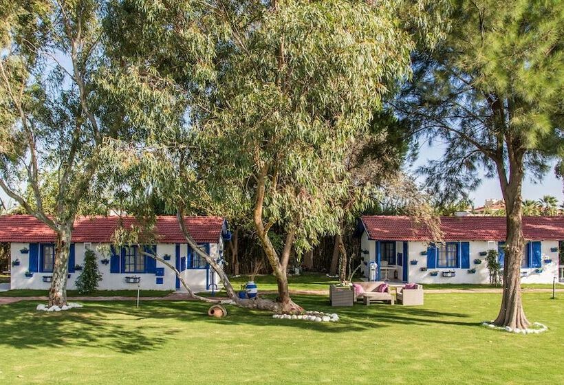 ホテル Mavi Zeytin Butik