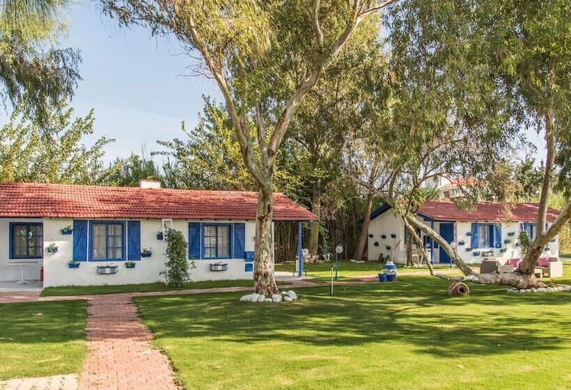 ホテル Mavi Zeytin Butik