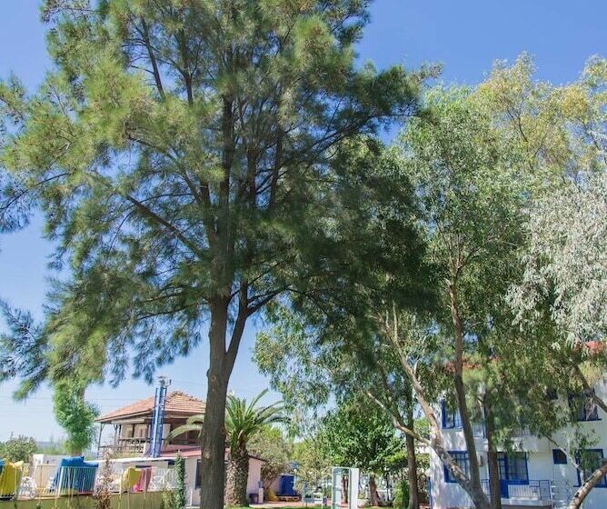 ホテル Mavi Zeytin Butik