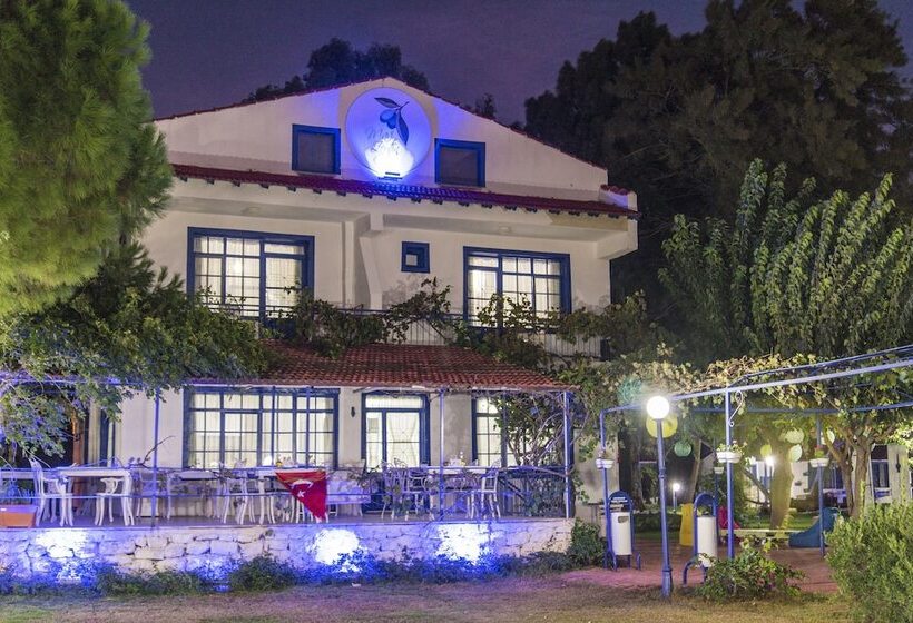 ホテル Mavi Zeytin Butik