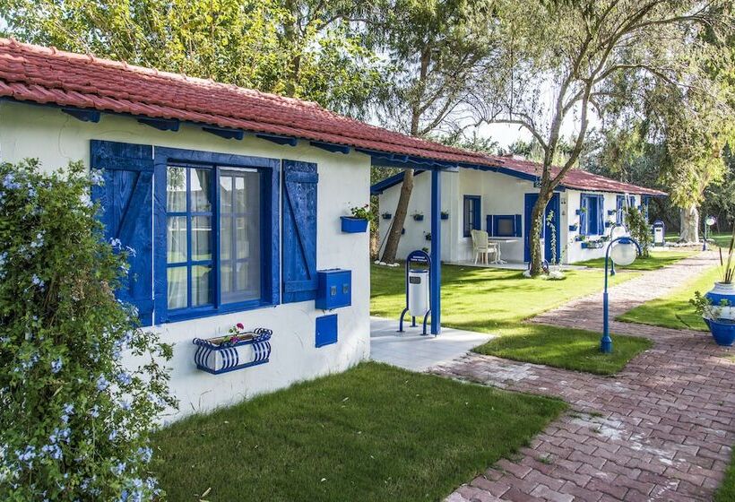 ホテル Mavi Zeytin Butik