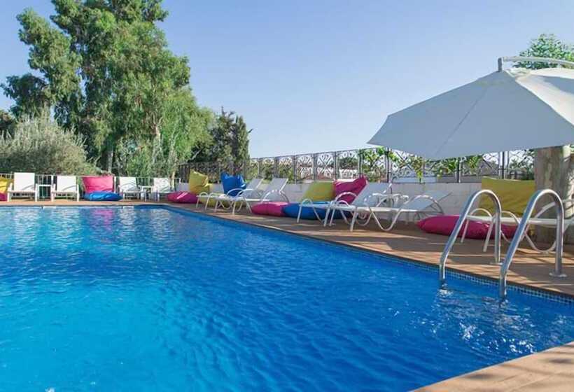 ホテル Mavi Zeytin Butik