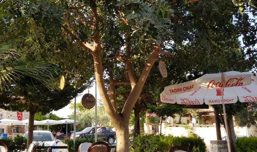 فندق Medusa House Boutique