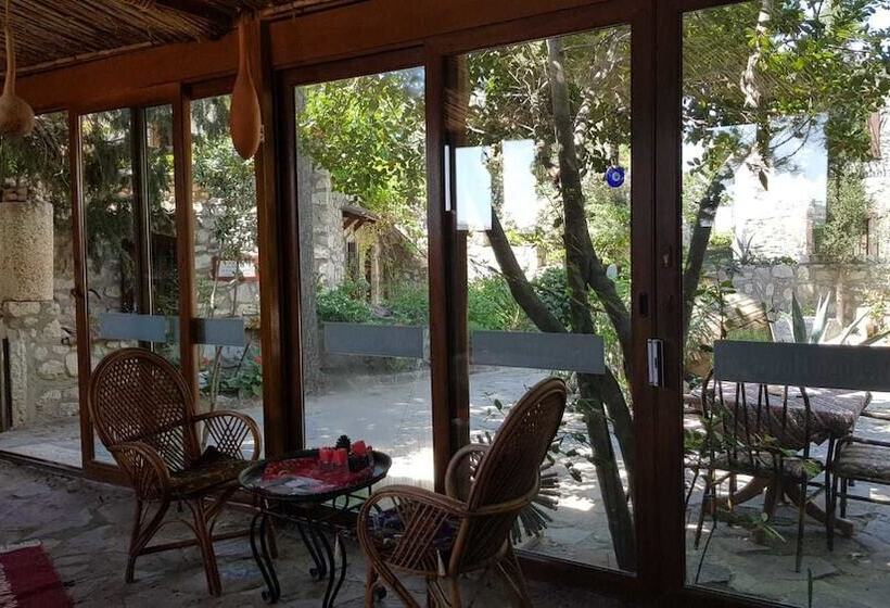 فندق Medusa House Boutique