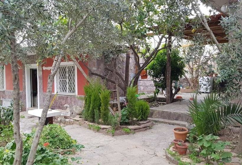 فندق Medusa House Boutique