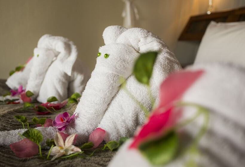 Отель Naledi Lodges