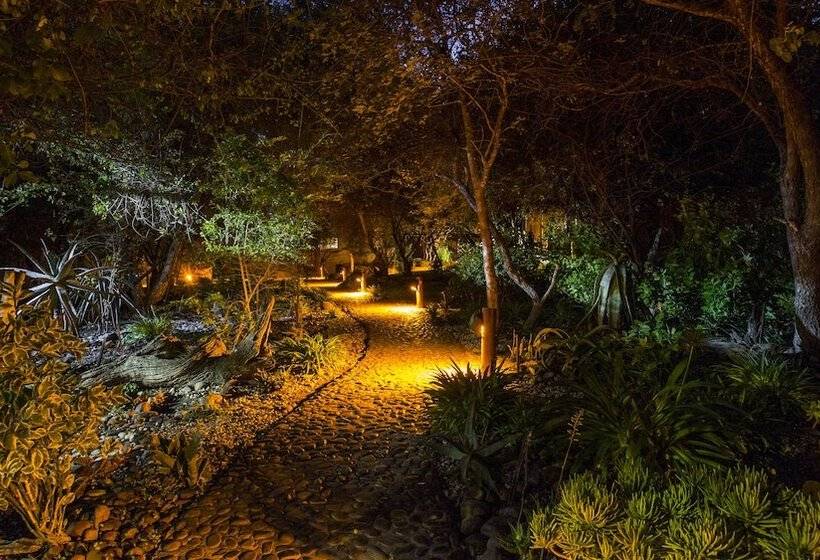 Отель Naledi Lodges