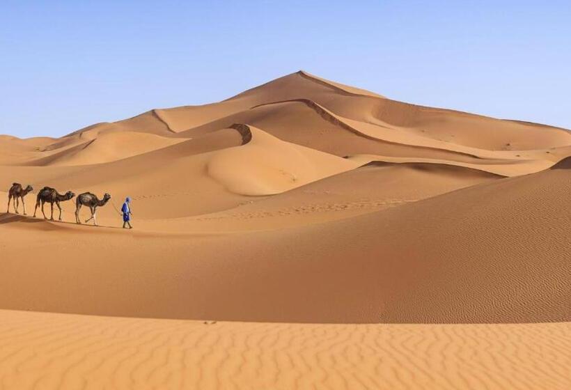 בית מלון כפרי Luxurious Desert Camp