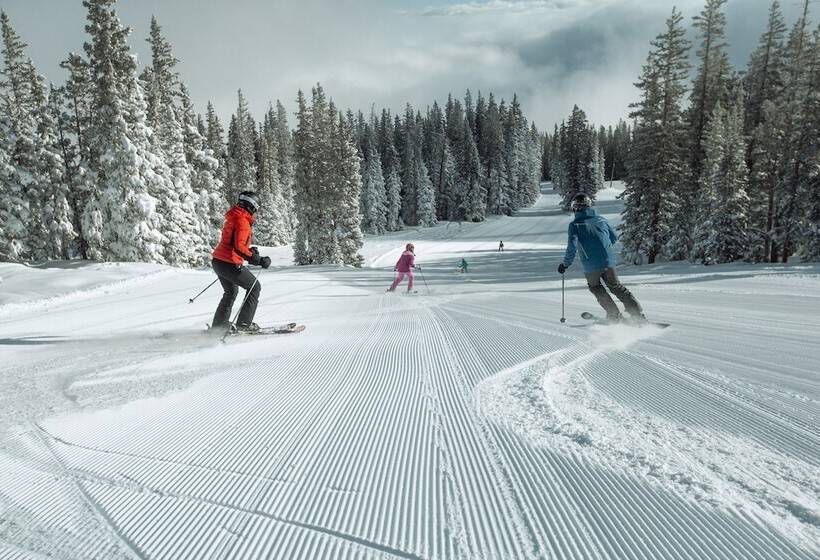 בית מלון כפרי Osprey 303