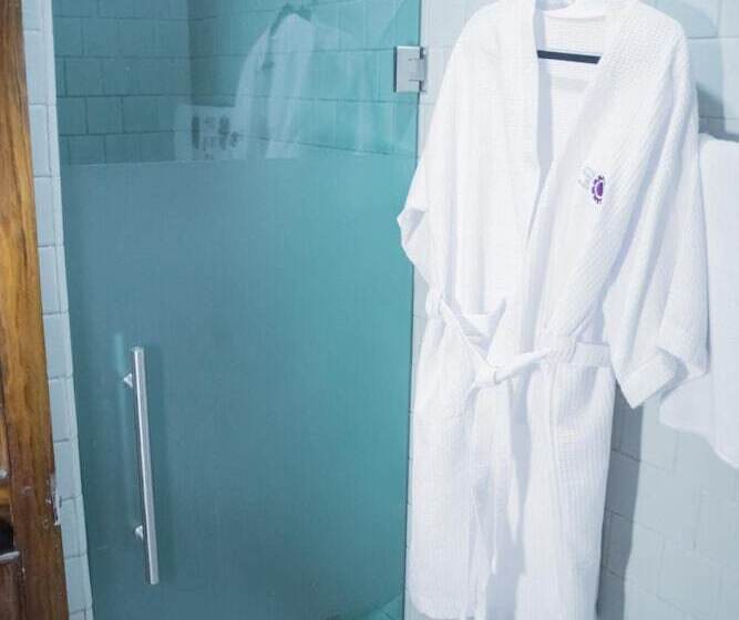 酒店 Posada Del Balsas