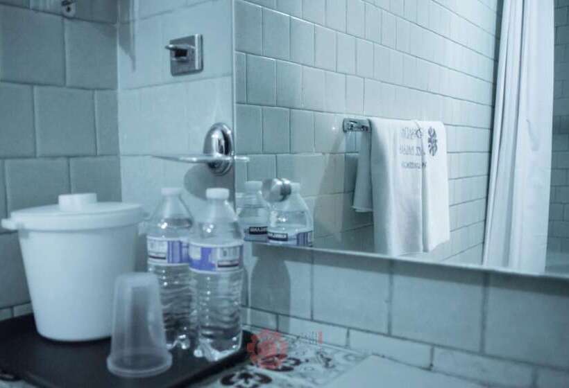 酒店 Posada Del Balsas