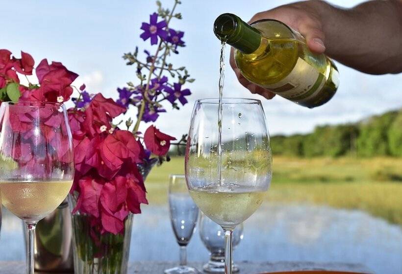 בית מלון כפרי Pousada Sitio Da Bia