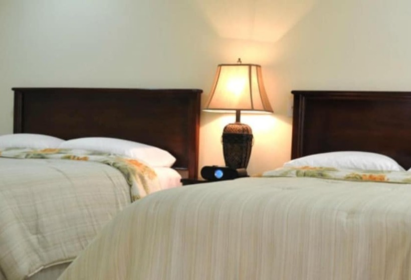 בית מלון כפרי Rainbow