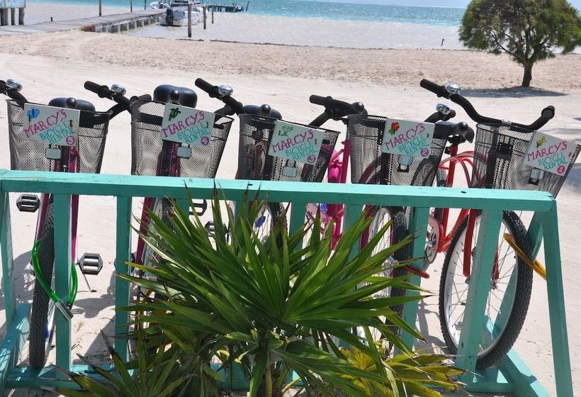 בית מלון כפרי Rainbow