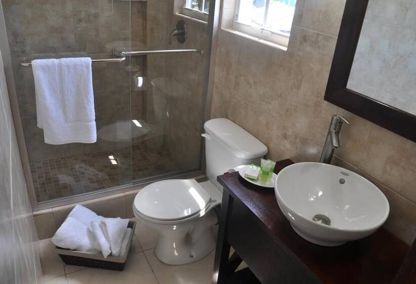 בית מלון כפרי Rainbow