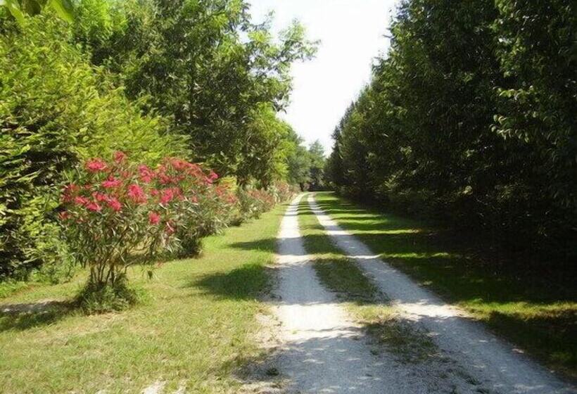 교외 호텔 Casa Delser