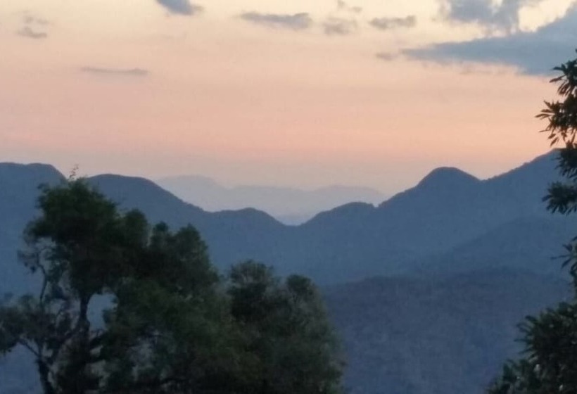 乡村酒店  Fazenda Bacchus