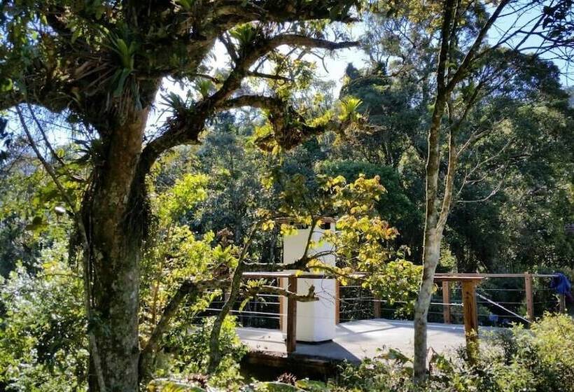 乡村酒店  Fazenda Bacchus