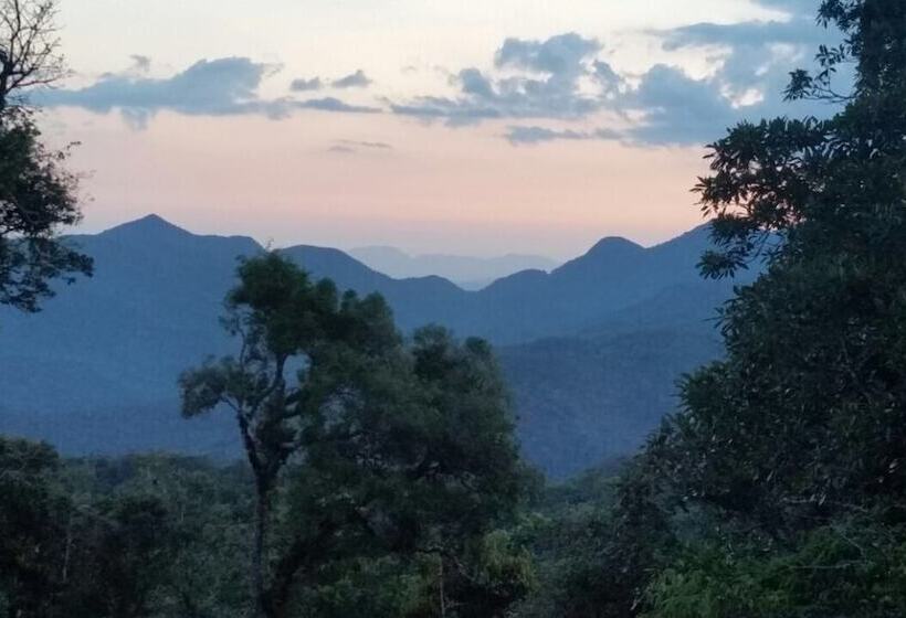 乡村酒店  Fazenda Bacchus