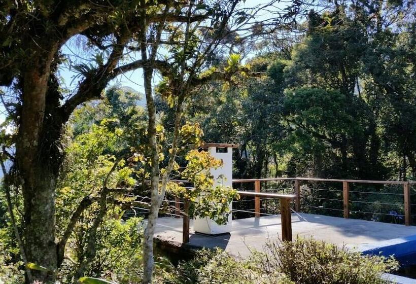 乡村酒店  Fazenda Bacchus