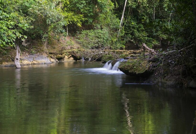乡村酒店 Fazenda Beija Flor