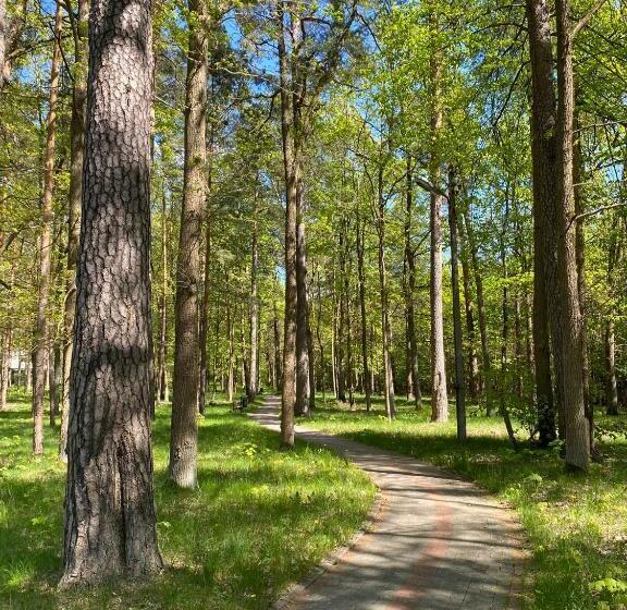Отель Sanatorium Uzdrowiskowe Augustów